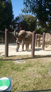上野ｚｏｏ！！！
